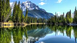 Case de vacanță - Banff National Park