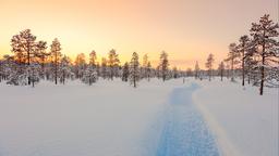 Case de vacanță - Laponia