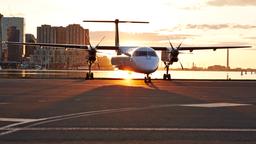 Găsește zboruri ieftine pe Porter Airlines