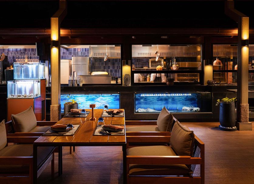Bar Fotografie