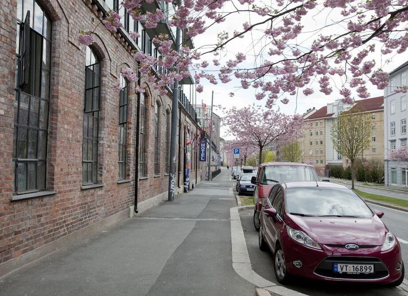 Priveliște în exterior Fotografie