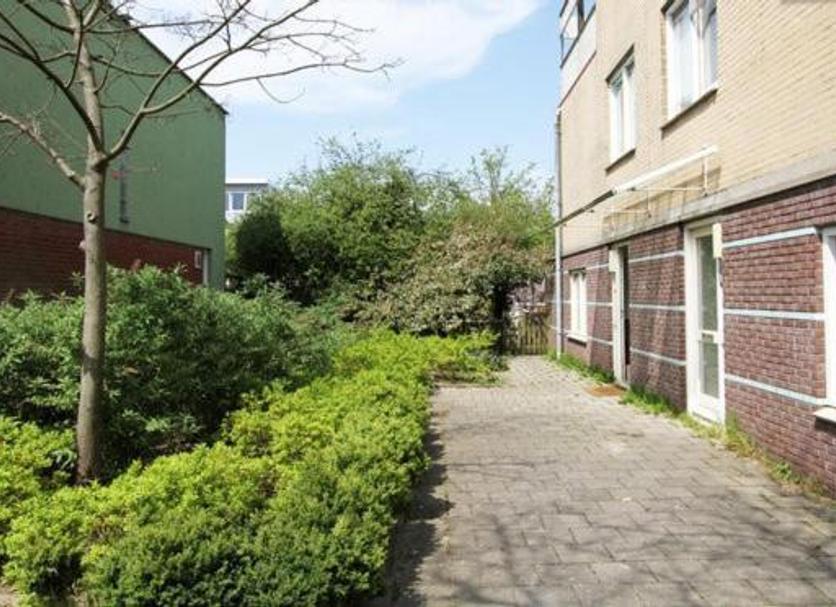 Priveliște în exterior Fotografie